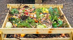 Compost pile